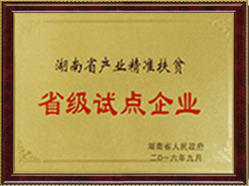 省級試點企業(yè)