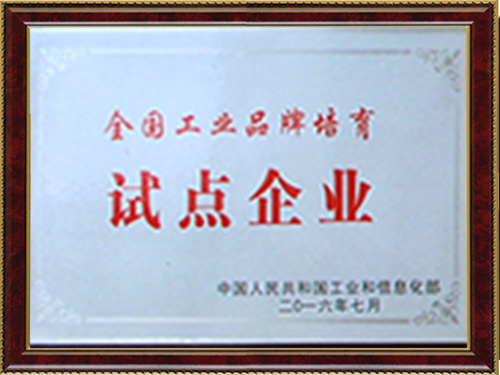 試點企業(yè)