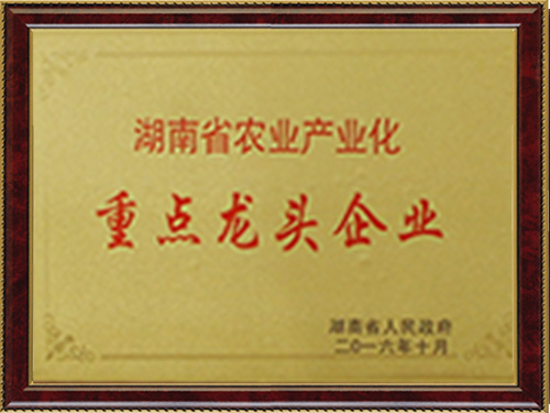 重點龍頭企業(yè)