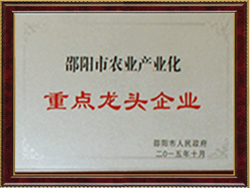重點龍頭企業(yè)