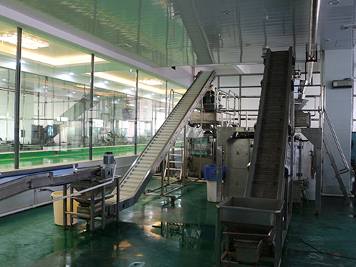 小米辣自動清洗上料機