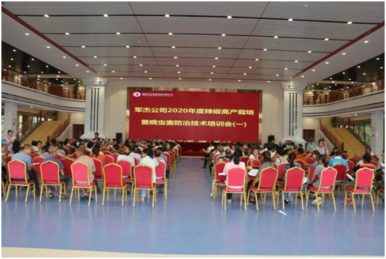 湖南軍杰辣椒,軍杰剁辣椒,湖南剁辣椒 湖南軍杰辣椒,軍杰剁辣椒,湖南剁辣椒