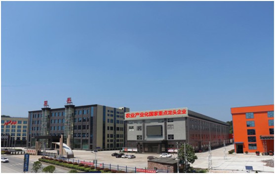 湖南軍杰辣椒,軍杰剁辣椒,湖南剁辣椒 湖南軍杰辣椒,軍杰剁辣椒,湖南剁辣椒