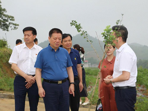 湖南軍杰辣椒,軍杰剁辣椒,湖南剁辣椒 