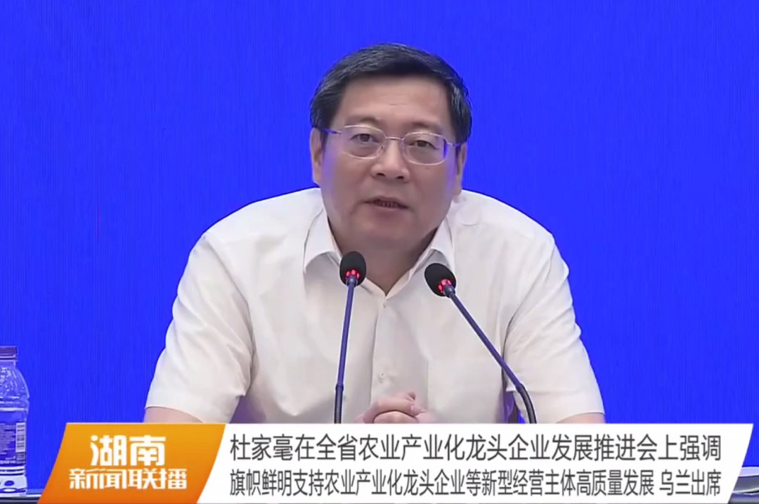 湖南軍杰辣椒,軍杰剁辣椒,湖南剁辣椒 