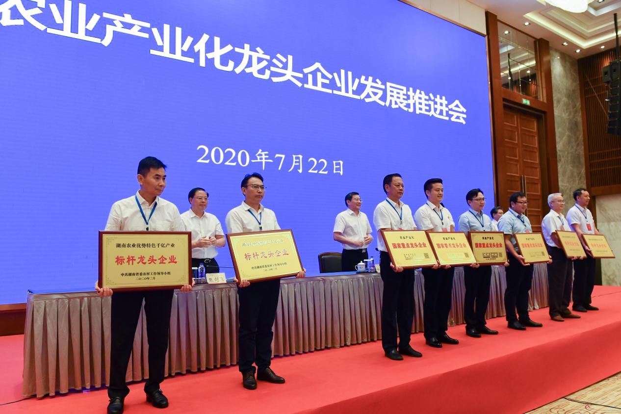 湖南軍杰辣椒,軍杰剁辣椒,湖南剁辣椒 