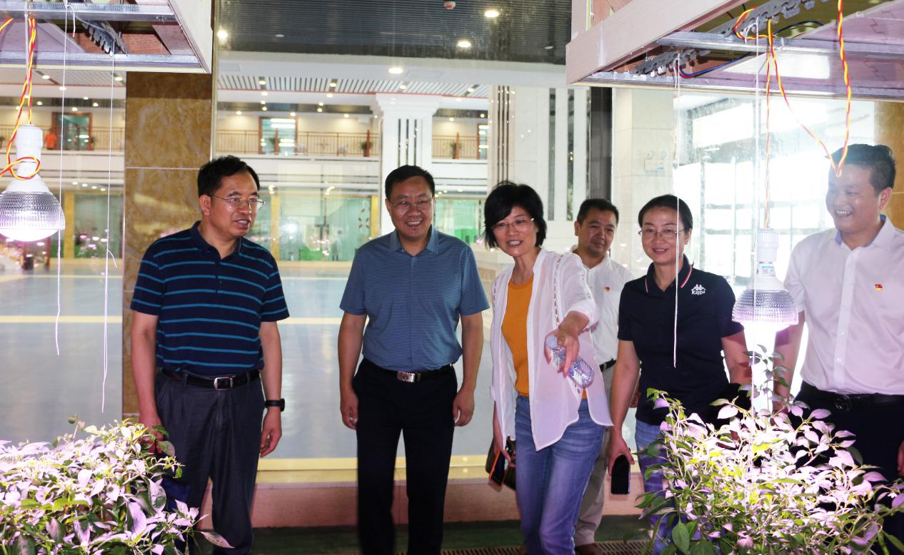 湖南軍杰辣椒,軍杰剁辣椒,湖南剁辣椒 